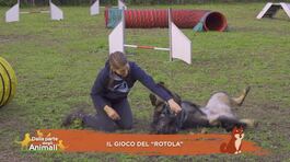 Il gioco del "rotola" thumbnail