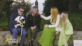 La nuova famiglia di Stella thumbnail