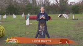 Impariamo divertendoci thumbnail