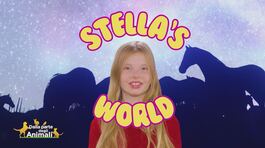 Stella' s world thumbnail