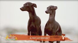 Il test antidoping thumbnail