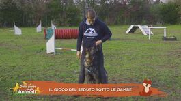 Impariamo divertendoci thumbnail