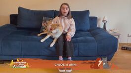 Le domande dei bambini thumbnail