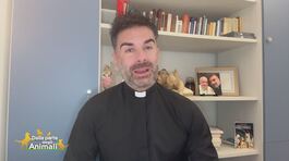 Don Cosimo ci parla del cervo thumbnail