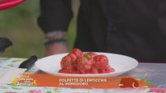 Polpette di lenticchie al pomodoro