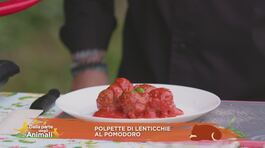 Polpette di lenticchie al pomodoro thumbnail