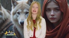 La rubrica di Stella, Stella's world thumbnail