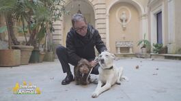 Peppino e Mimma gli amici di Pio Strabioli thumbnail