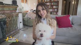 Pepe, il compagno di giochi di: Sara Manfuso thumbnail