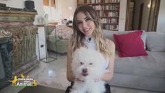 Pepe, il compagno di giochi di: Sara Manfuso