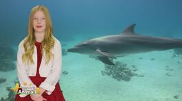 Stella's world thumbnail