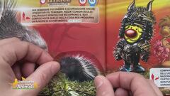 Un animale da scoprire: l'istrice