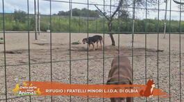Rifugio I fratelli minori Lida di Olbia thumbnail