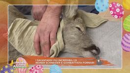 I salvataggi più incredibili di Reiner Schneider e Gianbattista Fornari thumbnail