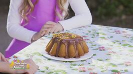 In cucina con Stella: Torta arance e cioccolato thumbnail