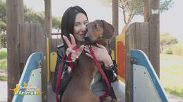 Carletto, il grande amore di Jessica Morlacchi thumbnail