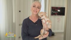 Rosita, l'amica pelosetta di Paola Barale