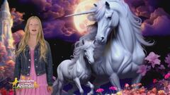 Stella's World: la storia dell'unicorno