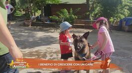 I benefici di crescere con un cane thumbnail