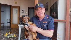 Bruno, il cane salvato dalla polizia di stato