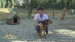 Un aiuto concreto da Brescia thumbnail