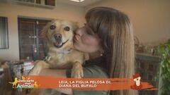 Leia, la figlia pelosa di: Diana Del Bufalo