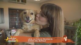 Leia, la figlia pelosa di: Diana Del Bufalo thumbnail