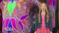 Stella's world: il significato simbolico dell'elefante
