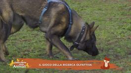 Impariamo divertendoci thumbnail