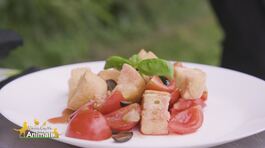 La panzanella vegana thumbnail