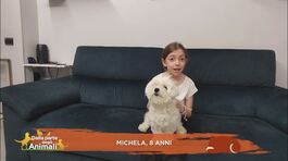 Le domande dei bambini thumbnail