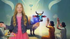 Stella's world thumbnail