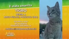 SOS animali