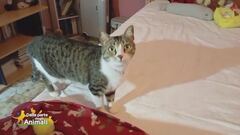 Minù