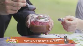 In cucina con Stella: Mousse al cioccolato con lamponi thumbnail
