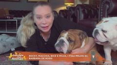 Rocky, Macchia, Bice e Milva, i figli pelosi di: Barbara De Rossi