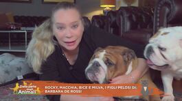 Rocky, Macchia, Bice e Milva, i figli pelosi di: Barbara De Rossi thumbnail