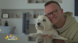Chase, il sesto figlio di Gigi D'Alessio thumbnail