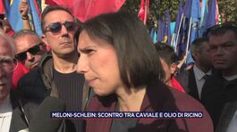 Meloni-Schlein: scontro tra caviale e olio di ricino thumbnail