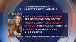 Maltrattamenti animali: nuova legge, pene di più severe thumbnail