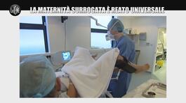 GASTON ZAMA: La maternità surrogata è reato universale thumbnail