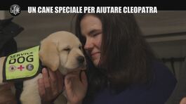 VIVIANI: Un cane speciale per aiutare Cleopatra thumbnail