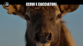 NINA: Cervi e cacciatori thumbnail