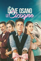Dove osano le cicogne