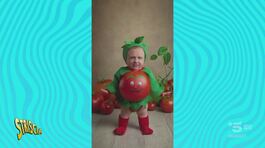 Lollodance, un ballo irresistibile in braghette mimetiche thumbnail