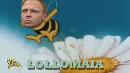 LolloMaia balla vestito da ape per conquistare i più piccoli thumbnail