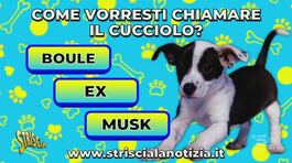 Come vuoi chiamare il cucciolo? thumbnail