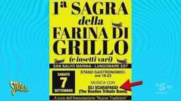 Alla sagra della farina di grillo suonavano… gli scarafaggi thumbnail