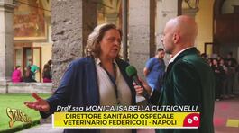 Oggi a Striscia: spedizione punitiva (e in diretta social) all'ospedale veterinario Federico II di Napoli thumbnail