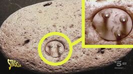 Enigmalit, la pietra con la presa di corrente: avrà davvero 100 milioni di anni? thumbnail